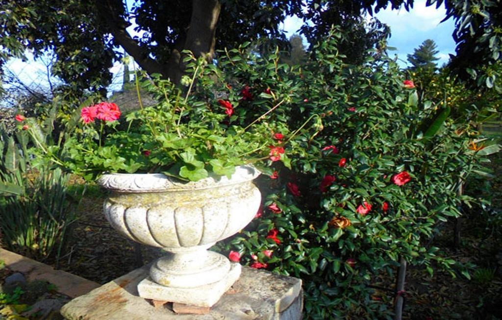 Bed and Breakfast Baglio Delle Rose Джарре Екстер'єр фото